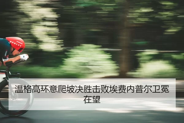 wen-ge-gao-huan-yi-pa-po-jue-sheng-ji-bai-ai-fei-nei-pu-er-wei-mian-zai-wang-2-444.jpg