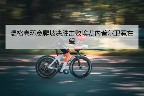 温格高环意爬坡决胜击败埃费内普尔卫冕在望